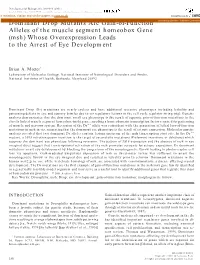 Dominant Drop Mutants Are Gain-Of-Function Alleles Of