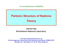 Partonic Structure of Hadrons Theory