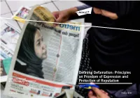 Principles on Freedom of Expression and Protection of Reputation