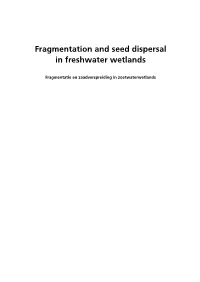 Fragmentation and Seed Dispersal in Freshwater Wetlands