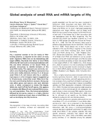 Global Analysis of Small RNA and Mrna Targets of Hfq