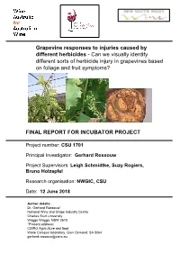 Grapevine Responses to Injuries Caused by Different