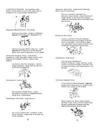 CLASS DICOTYLEDONAE – Two Cotyledons (Seed Leaves)