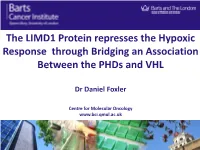 The LIMD1 Protein Represses the Hypoxic Response Through Bridging an Association Between the Phds and VHL