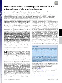 Optically Functional Isoxanthopterin Crystals in the Mirrored Eyes of Decapod Crustaceans