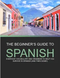 The Beginner's Guide To