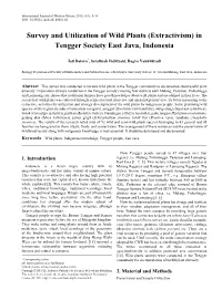 Wild Plants, Indigenous Knowledge, Tengger People, East Java