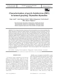 Characterization of Perch Rhabdovirus (PRV) in Farmed Grayling Thymallus Thymallus
