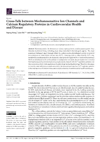 Cross-Talk Between Mechanosensitive Ion Channels and Calcium Regulatory Proteins in Cardiovascular Health and Disease