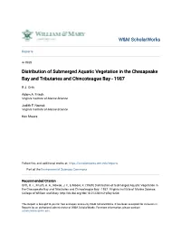 Distribution of Submerged Aquatic Vegetation in the Chesapeake Bay and Tributaries and Chincoteague Bay - 1987