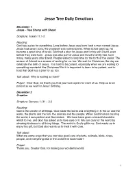 Jesse Tree Devotionals
