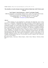 Macrobenthos at Marine Hotspots Along the Northwest Indian Inner Shelf: Patterns and Drivers