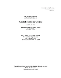 Cyclohexanone Oxime