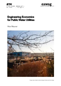Engineering Economics for Public Water Utilities