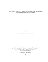 Rupture and Resistance: Gender Relations and Life Trajectories in the Babaçu Palm Forests of Brazil