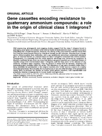 Gene Cassettes Encoding Resistance to Quaternary Ammonium Compounds: a Role in the Origin of Clinical Class 1 Integrons?