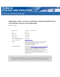 Long Live Morphology! Integrating Morphoevodevo Into Molecular Evodevo and Phylogenomics