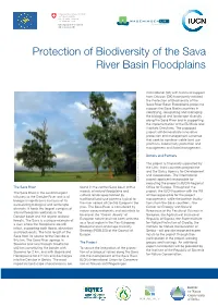 Sava River Basin Project