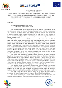 Analytical Report