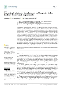 Evaluating Sustainable Development by Composite Index: Evidence from French Departments