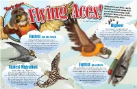 Fastest Migration Highest