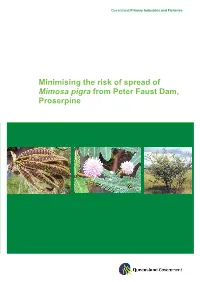 Minimising the Risk of Spread of Mimosa Pigra from Peter Faust Dam