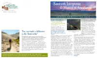 Newsletter 2020