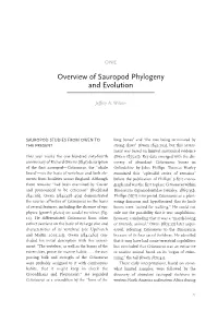Overview of Sauropod Phylogeny and Evolution