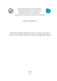 TESE Elkênita Guedes Silva.Pdf