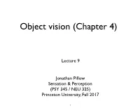 Object Recognition, Which Is Solved in Visual Areas Beyond V1