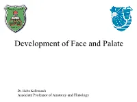 Development of Face and Palate