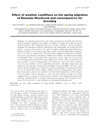 Effect of Weather Conditions on the Spring Migration of Eurasian Woodcock and Consequences for Breeding