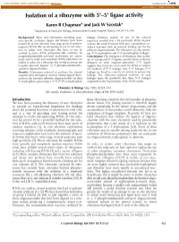 Isolation of a Ribozyme with 5'-5' Ligase Activity