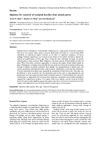 Options for Control of Scolytid Beetles That Attack Pines