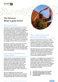 What Is Gene Drive?