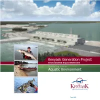 Aquatic Environment Supporting Volume