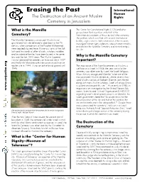 Mamillafactsheet.Pdf