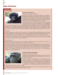 Apes Overview