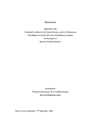 Dissertation