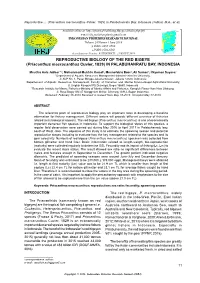 Download This PDF File