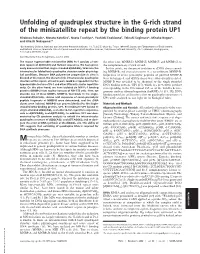 Unfolding of Quadruplex Structure in the G-Rich Strand of the Minisatellite Repeat by the Binding Protein UP1