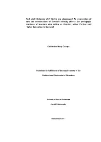 Chapter 4: Theoretical Frameworks and Concepts
