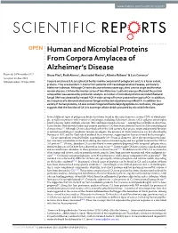 Human and Microbial Proteins from Corpora Amylacea of Alzheimer's