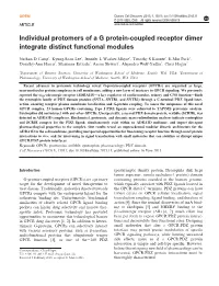 Individual Protomers of a G Protein-Coupled Receptor Dimer Integrate Distinct Functional Modules