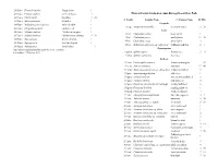 Pdf Clickbook Booklet