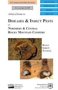 A Field Guide to Diseases and Insect Pests of Northern and Central