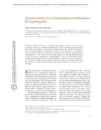 H2S) Metabolism in Ethylmalonic Encephalopathy