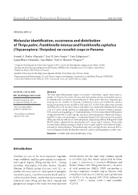 Molecular Identification, Occurrence