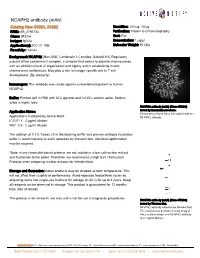 Active Motif Technical Data Sheet (TDS)