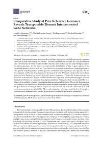 Comparative Study of Pine Reference Genomes Reveals Transposable Element Interconnected Gene Networks